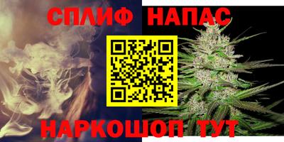 дмт Моздок