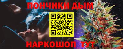гидра Можга