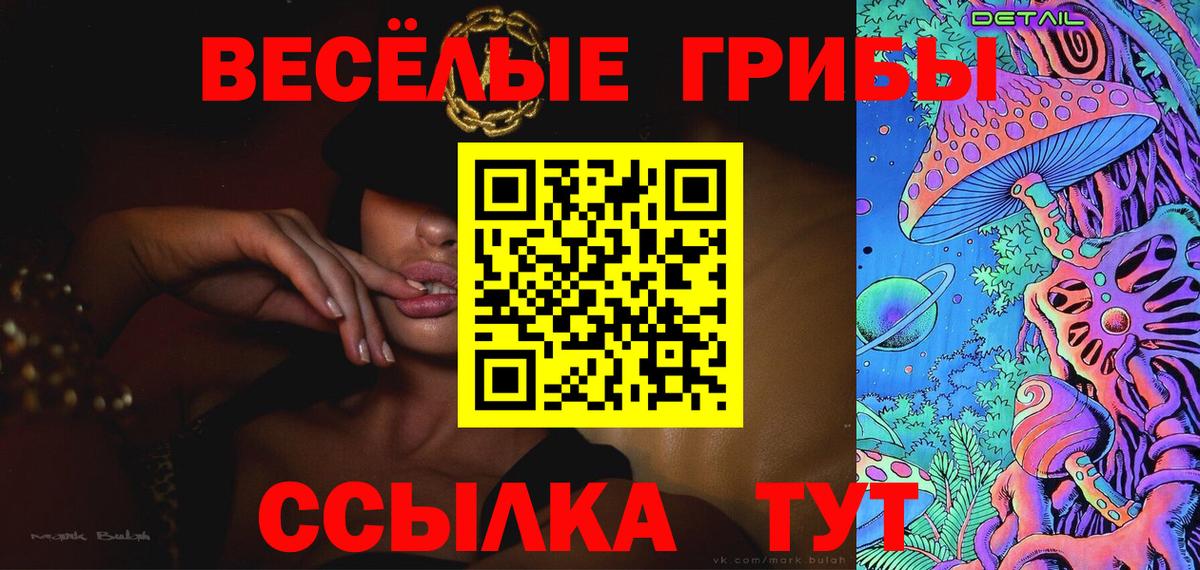 Димитровград  Галлюциногенные грибы Psilocybe  Вход с VPN 